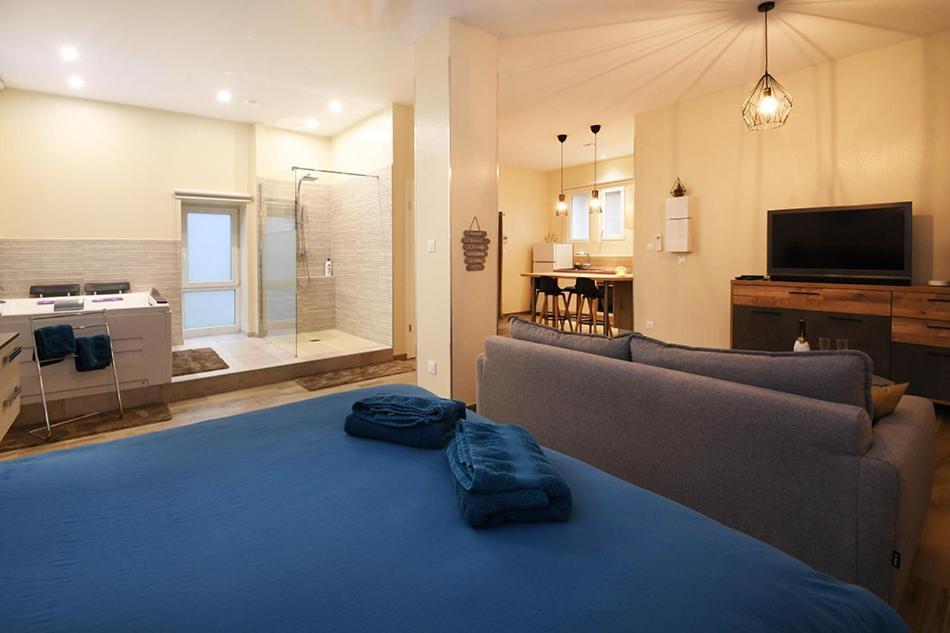 Appartement Loft Detente Strasburg Zewnętrze zdjęcie